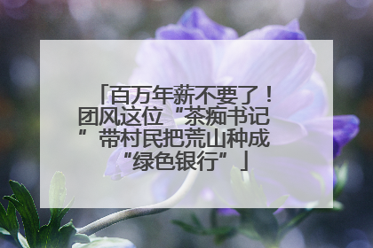 百万年薪不要了！团风这位“茶痴书记”带村民把荒山种成“绿色银行”