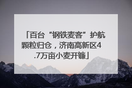 百台“钢铁麦客”护航颗粒归仓，济南高新区4.7万亩小麦开镰