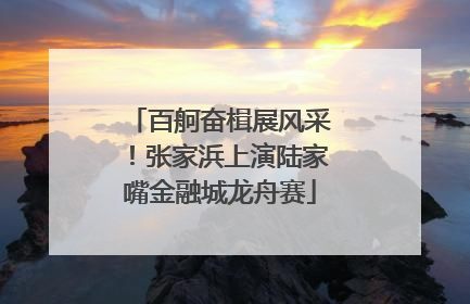 百舸奋楫展风采！张家浜上演陆家嘴金融城龙舟赛