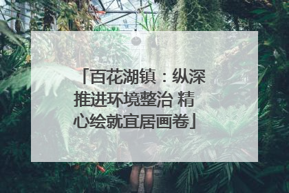 百花湖镇：纵深推进环境整治 精心绘就宜居画卷
