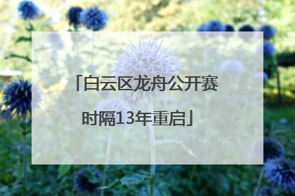 白云区龙舟公开赛时隔13年重启