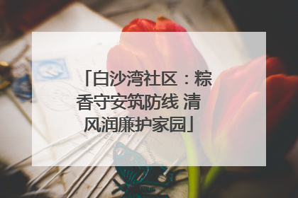 白沙湾社区：粽香守安筑防线 清风润廉护家园