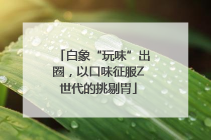白象“玩味”出圈，以口味征服Z世代的挑剔胃