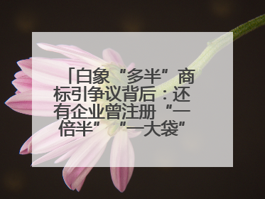 白象“多半”商标引争议背后：还有企业曾注册“一倍半”“一大袋”“1桶半”