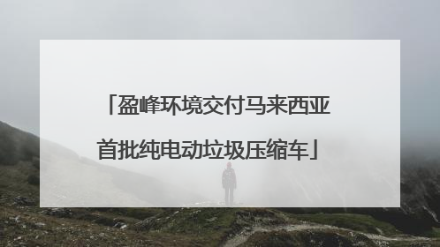盈峰环境交付马来西亚首批纯电动垃圾压缩车