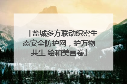 盐城多方联动织密生态安全防护网，护万物共生 绘和美画卷