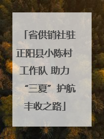 省供销社驻正阳县小陈村工作队 助力“三夏”护航丰收之路
