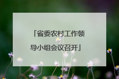 省委农村工作领导小组会议召开