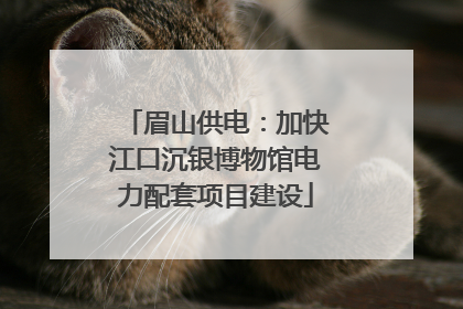 眉山供电：加快江口沉银博物馆电力配套项目建设
