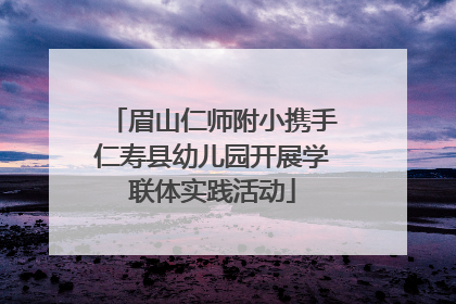 眉山仁师附小携手仁寿县幼儿园开展学联体实践活动