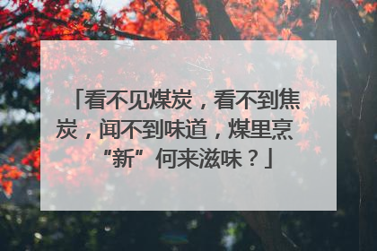 看不见煤炭，看不到焦炭，闻不到味道，煤里烹“新”何来滋味？