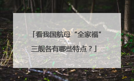 看我国航母“全家福” 三舰各有哪些特点？