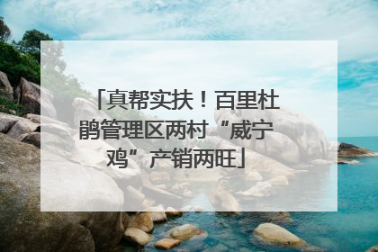真帮实扶！百里杜鹃管理区两村“威宁鸡”产销两旺