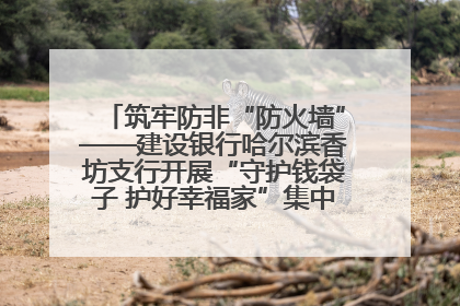 筑牢防非“防火墙”——建设银行哈尔滨香坊支行开展“守护钱袋子 护好幸福家”集中宣传日活动