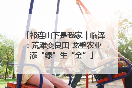 祁连山下是我家｜临泽：荒滩变良田 戈壁农业添“绿”生“金”