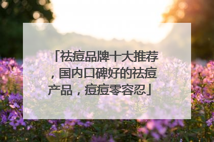 祛痘品牌十大推荐，国内口碑好的祛痘产品，痘痘零容忍