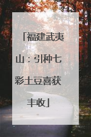福建武夷山：引种七彩土豆喜获丰收