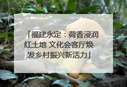 福建永定：荷香浸润红土地 文化会客厅焕发乡村振兴新活力