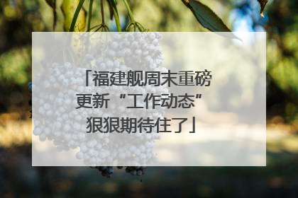 福建舰周末重磅更新“工作动态” 狠狠期待住了
