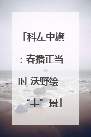 科左中旗：春播正当时 沃野绘“丰”景