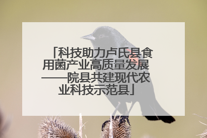 科技助力卢氏县食用菌产业高质量发展——院县共建现代农业科技示范县