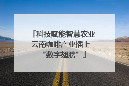 科技赋能智慧农业 云南咖啡产业插上“数字翅膀”
