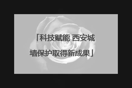 科技赋能 西安城墙保护取得新成果
