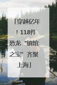 穿越亿年！118件恐龙“镇馆之宝”齐聚上海