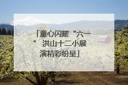 童心闪耀“六一” 洪山十二小展演精彩纷呈