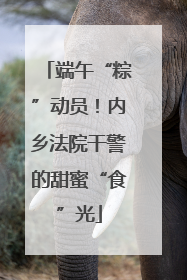 端午“粽”动员！内乡法院干警的甜蜜“食”光