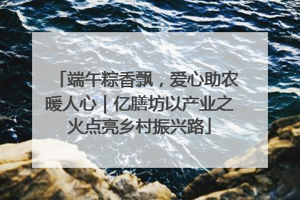端午粽香飘，爱心助农暖人心｜亿膳坊以产业之火点亮乡村振兴路