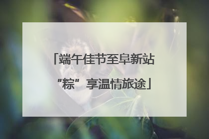 端午佳节至阜新站“粽”享温情旅途