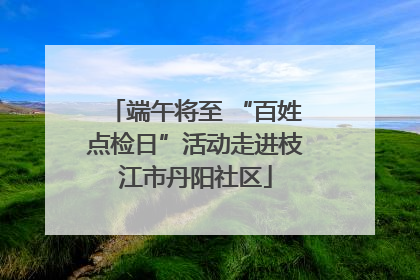 端午将至 “百姓点检日”活动走进枝江市丹阳社区