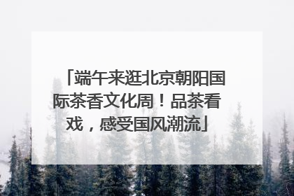 端午来逛北京朝阳国际茶香文化周！品茶看戏，感受国风潮流