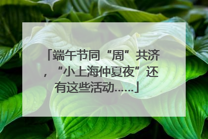 端午节同“周”共济，“小上海仲夏夜”还有这些活动……