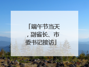 端午节当天，副省长、市委书记接访