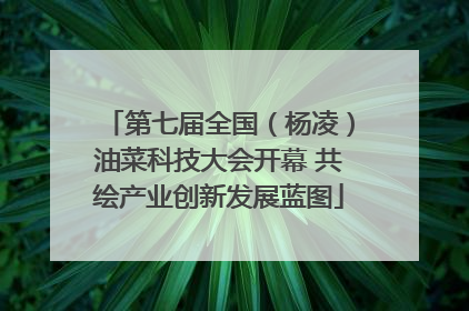 第七届全国（杨凌）油菜科技大会开幕 共绘产业创新发展蓝图