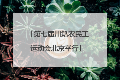 第七届川籍农民工运动会北京举行