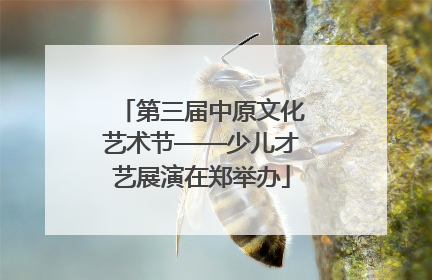 第三届中原文化艺术节——少儿才艺展演在郑举办