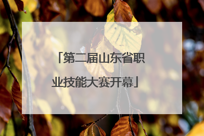 第二届山东省职业技能大赛开幕