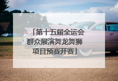 第十五届全运会群众展演舞龙舞狮项目预赛开赛