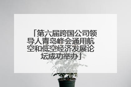 第六届跨国公司领导人青岛峰会通用航空和低空经济发展论坛成功举办