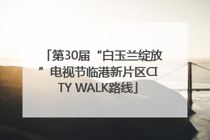 第30届“白玉兰绽放”电视节临港新片区CITY WALK路线