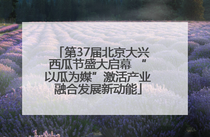 第37届北京大兴西瓜节盛大启幕 “以瓜为媒”激活产业融合发展新动能