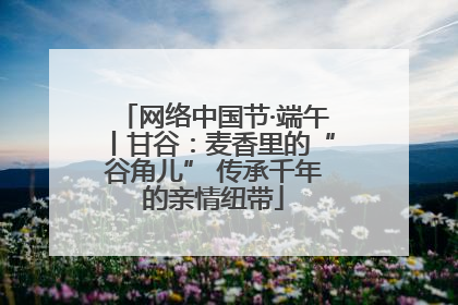 网络中国节·端午丨甘谷：麦香里的“谷角儿” 传承千年的亲情纽带