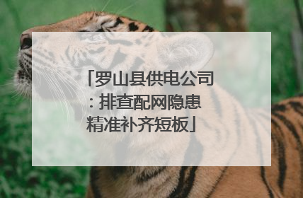 罗山县供电公司：排查配网隐患 精准补齐短板