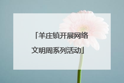 羊庄镇开展网络文明周系列活动
