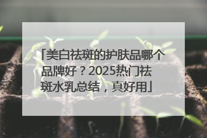 美白祛斑的护肤品哪个品牌好？2025热门祛斑水乳总结，真好用