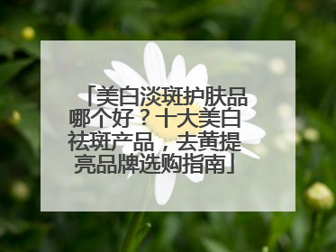 美白淡斑护肤品哪个好？十大美白祛斑产品，去黄提亮品牌选购指南