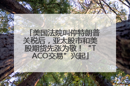 美国法院叫停特朗普关税后，亚太股市和美股期货先涨为敬！“TACO交易”兴起